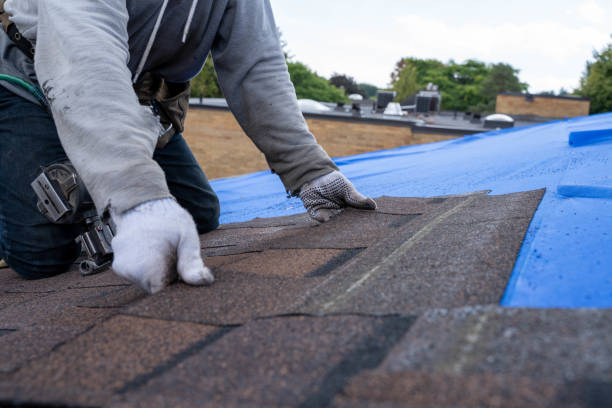 Best Green or Eco-Friendly Roofing Solutions  in Aiea, HI